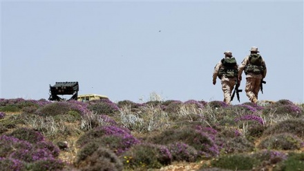 Israel Bantu Para Teroris di Perbatasan Suriah-Lebanon