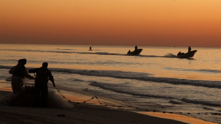Gaza; forze sioniste hanno arrestato due pescatori palestinesi 