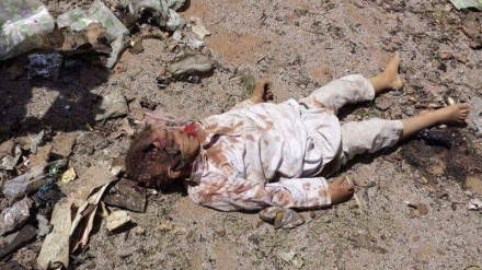 本日のトピック　イエメンの子供の死亡に対するユニセフの懸念