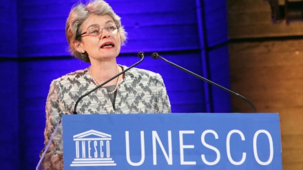 Генеральный директор ЮНЕСКО осудил теракты в Тегеране