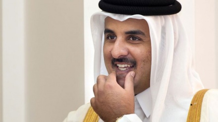 क़तर ने हर प्रकार के विद्रोह के दावे का खंडन किया