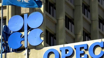 委内瑞拉与欧佩克就石油价格进行谈判