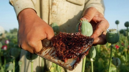 Menanti Aksi Dunia Selamatkan Afghanistan 