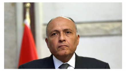 埃及对国际社会为寻找客机坠毁原因提供帮助表示欢迎