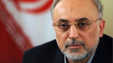 Salehi: Organičenja u nuklearnom sporazumu neće usporiti nuklearnu industriju Irana