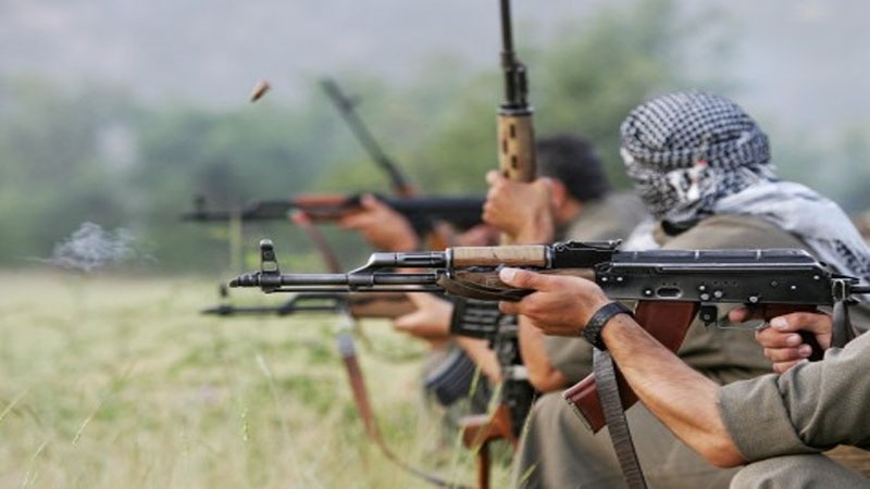 Türkiye ordusu operasyonlarında 5 PKK'lı öldü 