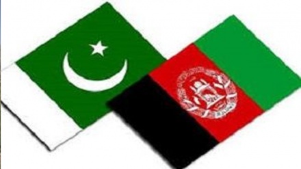 درخواست طالبان از پاکستان