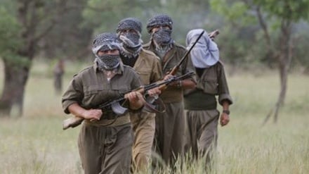 Turki Bunuh Ribuan Milisi PKK Selama Operasi Militer