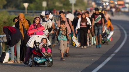 Challenges behind migration of Muslims to Europe (1)