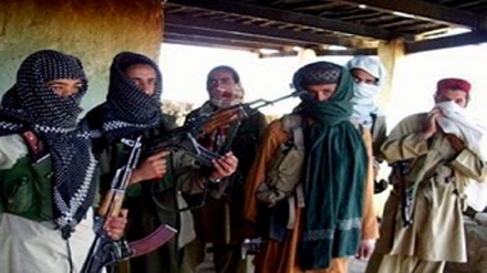 د برصغیر لپاره د القاعدې پخوانی مشر په کراچۍ کښې ونیوی شو