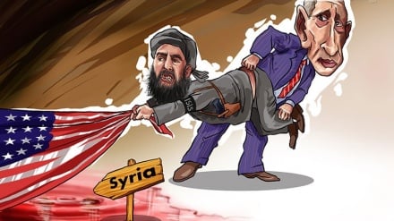 Ebu Bekra Bagdadija hoću živog!