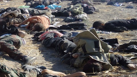 सीरिया में 300 से अधिक आतंकी ढेर