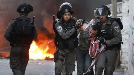Forcat sioniste plagosin 20 palestinezë në Shejkh Xharah