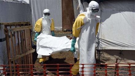 Ebola yaua watu 5 Guinea, maambukizi 800 yanachunguzwa