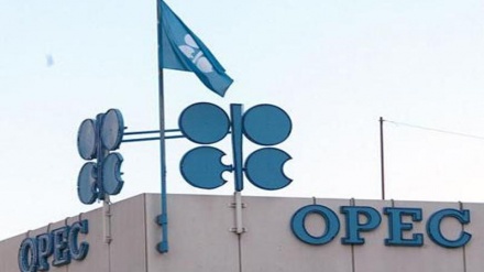 OPEC nuk merr vendim për uljen e prodhimit