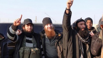 Türkiye'de DAEŞ'in serbest faaliyet yaptığı ifşa edildi 