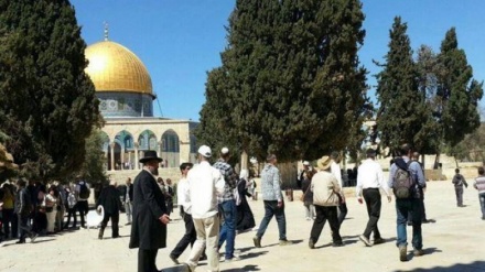 मस्जिदुल अक़्सा पर आतंकी ज़ायोनियों का हमला, नाच कर की भड़काऊ कार्यवाही