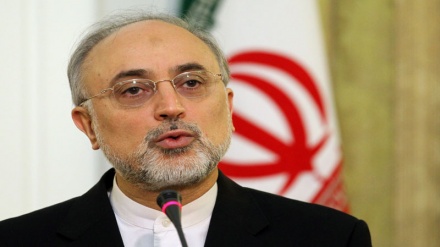 Salehi: Započela prva etapa provođenja BARDŽAM-a