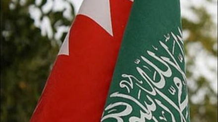 Suudi rejimi Alı Halife rejiminin baskıcı siyasetlerine destek veriyor 