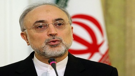 Salehi: Potpisan dokument o redizajniranju reaktora u Araku