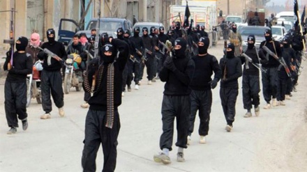 Gwamnatin Maroko Tana Ci Gaba Da Murkushe Makircin Kungiyoyin 'Yan Ta'adda A Kasar