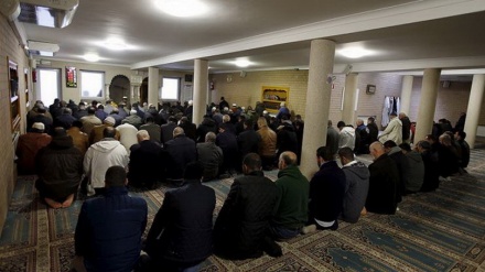 Musulmanas principales víctimas de violencia antislámica en Bélgica