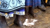 Papina posjeta Africi