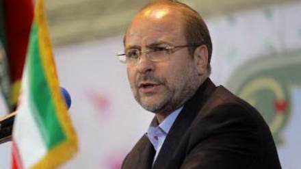 Ketua Parlemen Iran: Referendum, Solusi Politik untuk Palestina