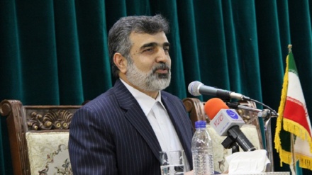 Камалванди сообщил: договор с Китаем для перепроектирования ядерного  объекта  в Араке