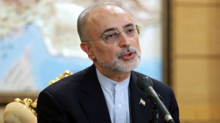 Salehi: Uchumi wa Iran unategemea uwezo wa ndani na unaelekea kwenye kilele cha ustawi