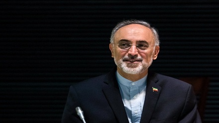 Salehi: Barat Memahami Kemampuan Teknis Nuklir Iran 