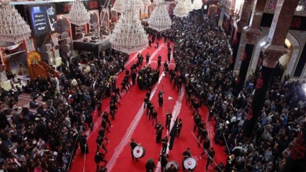 इमाम हुसैन के ज़ायरीन को बचाने में एक इराक़ी पुलिस अधिकारी शहीद