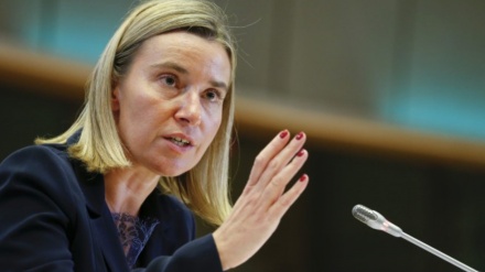 EUの声明に対するロシアの批判