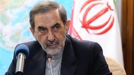 Velayeti: Arabistan'ın Suriye aleyhindeki tehdidi etkisiz bir propaganda'dan ibaret