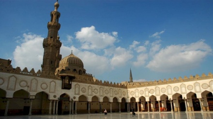 爱兹哈尔大学呼吁伊斯兰教派之间保持团结   