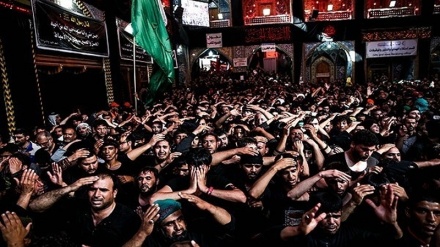 ‘Karbala, anfitriona de peregrinos de diferentes naciones’