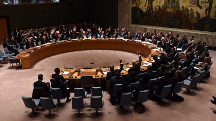 Consejo de Seguridad de ONU no acuerda respuesta a ataque turco a kurdos sirios