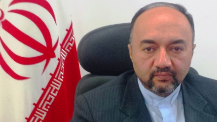 زبان فارسی؛ زبان دوم جهان اسلام  