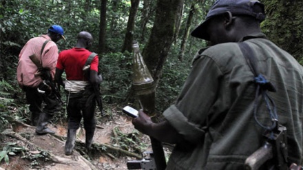 Congo DR yataka kufukuzwa waasi wa Rwanda, Sudan Kusini katika ardhi ya nchi hiyo