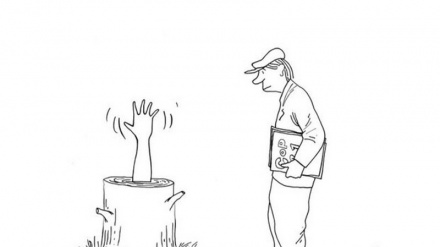 Ҳаёти дарахтон