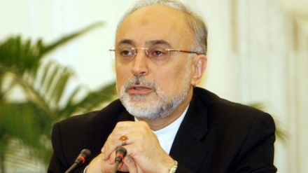 Iran-Europe nuclear cooperation growing: Salehi