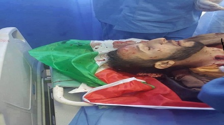 Cisgiordania occupata: soldati israeliania uccidono giovane palestinese durante l'arresto
