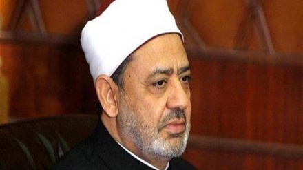  درخواست شیخ الازهر برای اعلام جرم علیه اسلام ستیزی