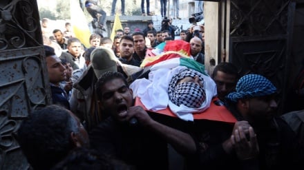 Qıləy fələstinıjə cıvoni şəhodət.