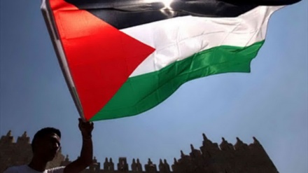 继续抗议特朗普对古都斯做出的决定 ；埃及工程师联盟大楼上升起了巴勒斯坦国旗