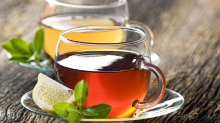 やはりイブン・スィーナーは偉大