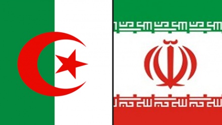 İran ve Cezayir ilişkilerinin gelişmesine vurgu yapıldı