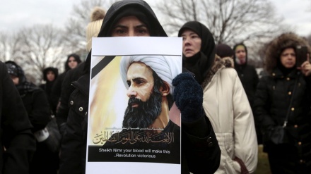 Demonstracije američkih muslimana u znak protesta zbog smaknuća šejha Nimra 