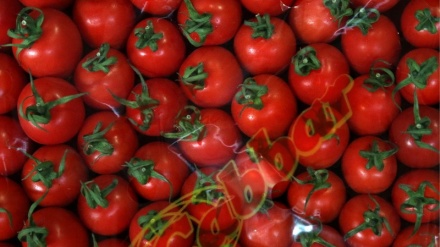 Yaş Sebze ve Meyve İhracatı Azaldı