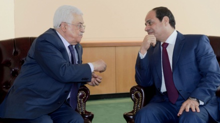 מצרים תומכת בהקמת מדינה עצמאית בגבולות 67